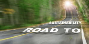 sustainable future